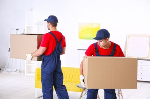 Mobile self storage unit delivered in Stepney for convenient packing
