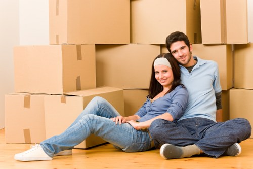Professional mover carrying boxes for a Stepney relocation